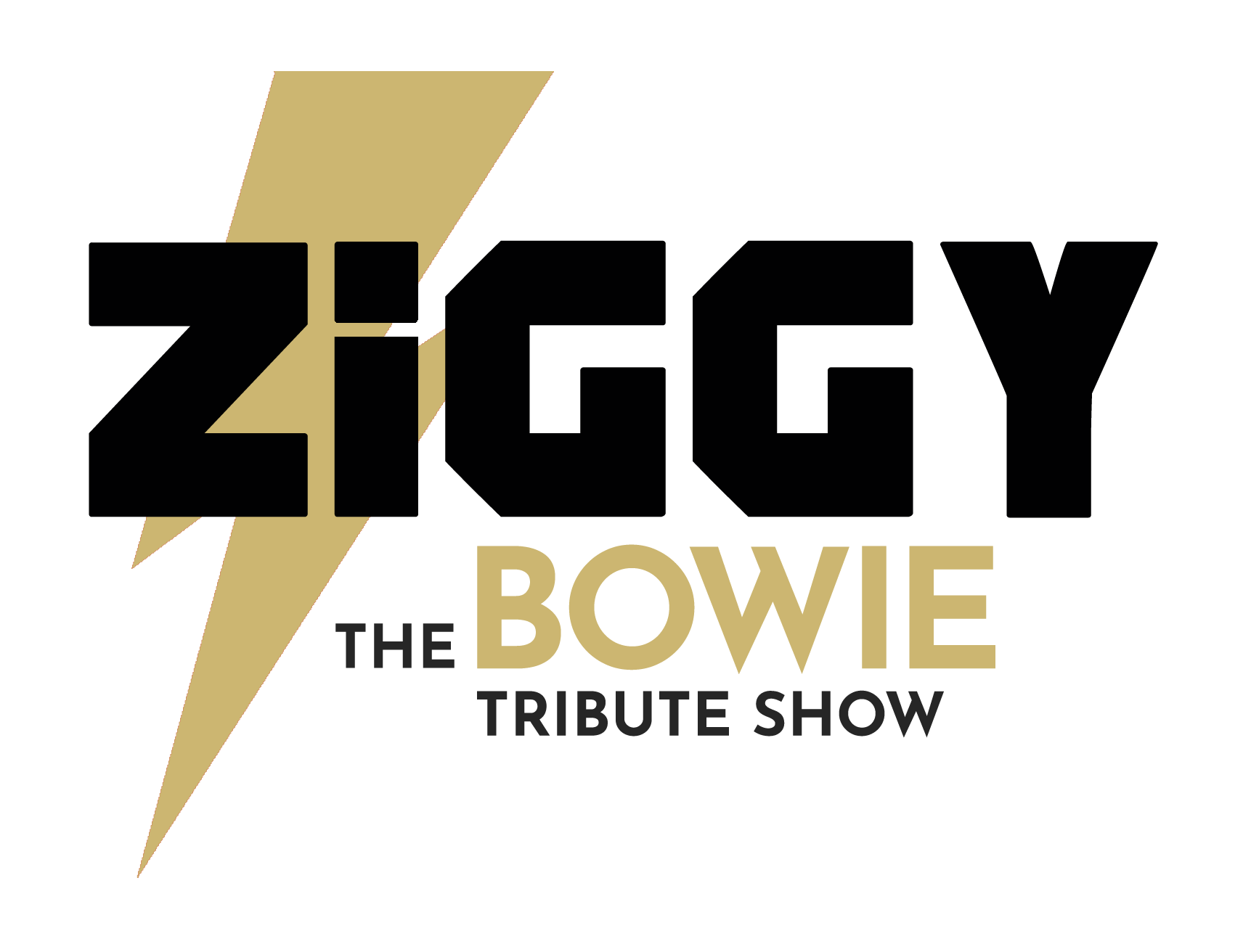 ZIGGY – The Bowie Tribute Show